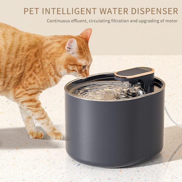 Fontaine à eau pour chat silencieuse – Rechargeable USB, filtre intégré