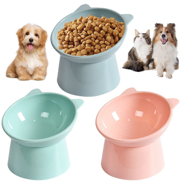 Gamelle inclinée surélevée pour chat – Anti-vomissement, protège le cou